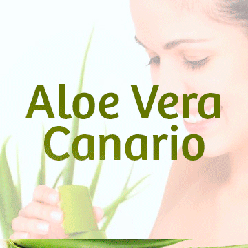 Canary Aloe Vera